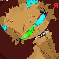 pallu.tiktok_official