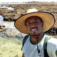 brunoguiamsp