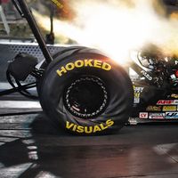 hooked_visuals