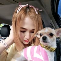 เสียงต้นฉบับ - 钢琴 钢琴