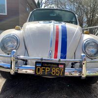 Quote from The Love Bug 1969