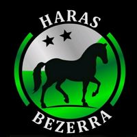 haras.bezerra