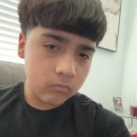 Priscilla main credits