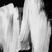 Nací para Perrearte