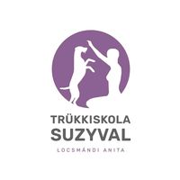 trukkiskolasuzyval
