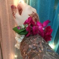 iqra_malik_rani