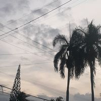 lis_lyrics38