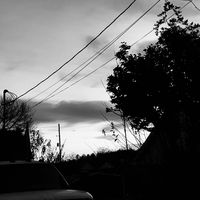 darkplace420