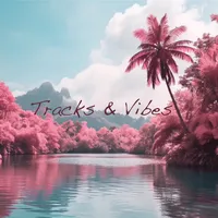 original sound - tracksandvibes