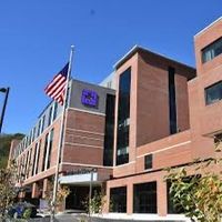 waynememorialhonesdale