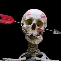 hshtgtoxicexgfsoftiktok