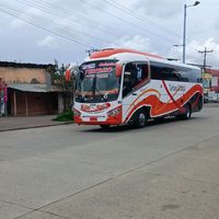 buses_en_ruta593