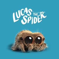 original sound - Lucas the Spider