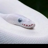 original sound - user6986850874003