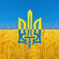 ukrainetoday_2025