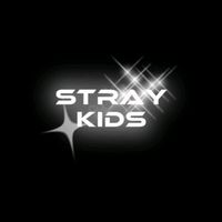 straykids_7046