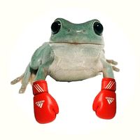 saquen a bailar a la puchaina