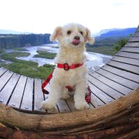 osita_19985