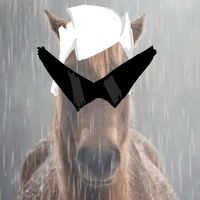 lilcalstrider413