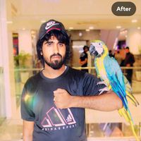 usman300333