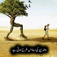muhammed.rizwan.a68