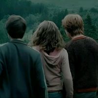 ronharryhermione6