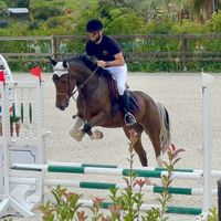 horsingaround__