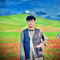 gelahmd.rhimy