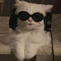 la_tefii01