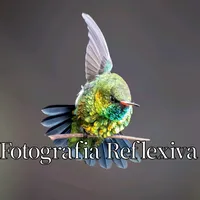 original sound - manuel_jeremias