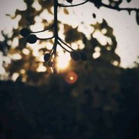 เสียงต้นฉบับ - Last Light