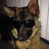 Leave Me Alone By Jayden