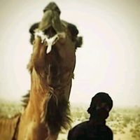 الصوت الأصلي