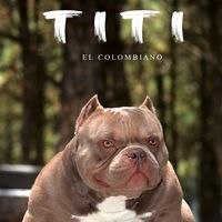 titielcolombiano