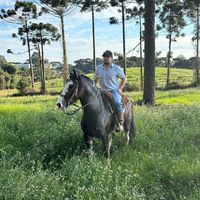 robsonbinho72