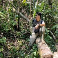 suara asli - D 35 NAL DRN 54-1