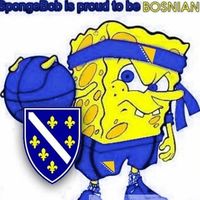 bosnia.strongest.country