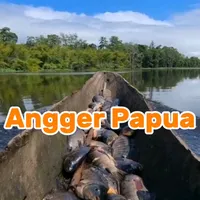 original sound - anggerpapua