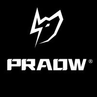 praow.car.mx