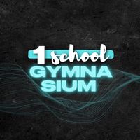 1gymnasium_