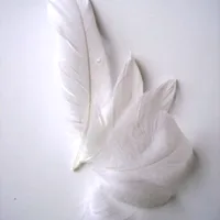 original sound - angeldelcosmos270