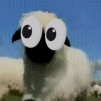 Cursed Audio
