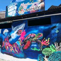 el_arrecife1