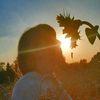 оригінальний звук