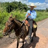 original sound - arlanjr_ar