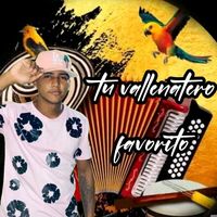 tu.vallenatero.fa