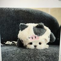 daisy19960809