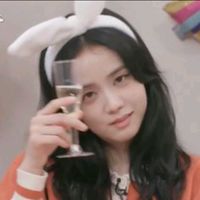 _._blackpinkblink_._