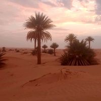 الصوت الأصلي