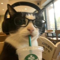 nhạc nền - Thanh Nga🎀